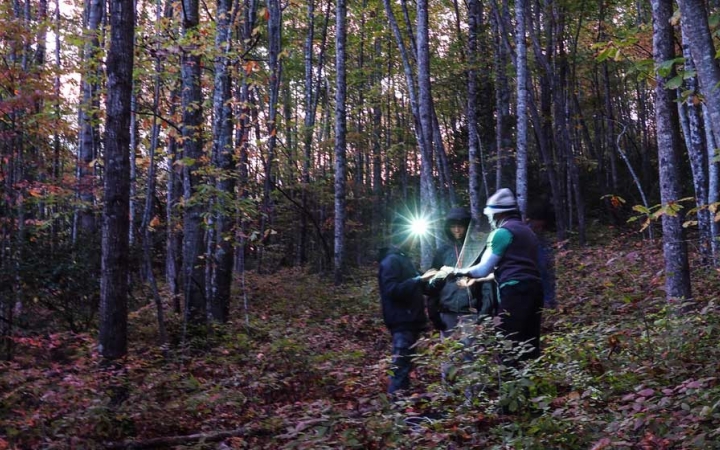 a group of students look at a map illuminated by headlamps on a backpacking trip in the blue ridge mountains